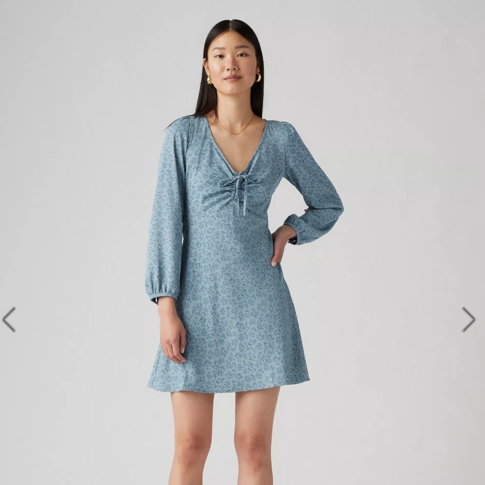 Levi’s Delray Long Sleeve Mini Dress